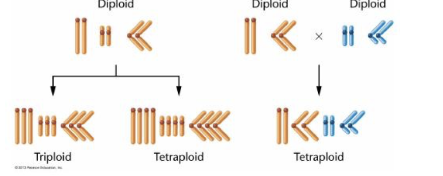 <p>label left and right </p>