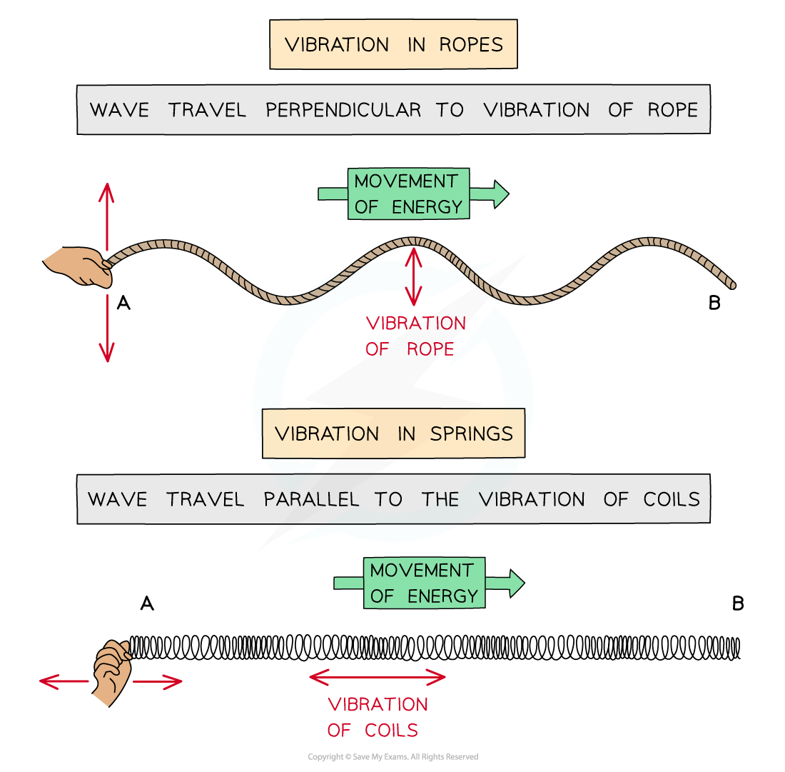 <p>Energy transferred through moving&nbsp;<span><strong>oscillations</strong></span>&nbsp;or&nbsp;<span><strong>vibrations</strong></span> seen vibrations of ropes or springs</p><p>Waves oscillate in a&nbsp;<strong>perpendicular</strong>&nbsp;direction are&nbsp;<strong>transverse</strong>&nbsp;waves</p><p>Waves oscillate in a&nbsp;<strong>parallel</strong>&nbsp;direction are&nbsp;<strong>longitudinal</strong>&nbsp;waves</p><p>Examples of transverse waves are: Electromagnetic waves e.g. radio, visible light, UV - Vibrations on a guitar string - Waves on a string - Seismic (S) waves</p><p>Examples of longitudinal waves are: Sound waves - Ultrasound waves - Waves through a slinky coil - Seismic (P) waves</p><p></p>