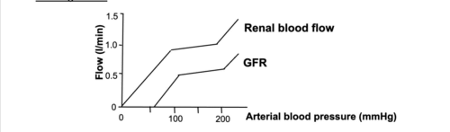 <p>Changes are constant over normal arterial BPs of 90-180mmHg. This means there are uncoupled from BP (flat region of curve). Fluid and solute excretion are constant although BP fluctuates in this region.</p><p></p><p>	•	Without uncoupling: Higher blood pressure → more blood flow → more filtration → more urine.</p><p>	•	With uncoupling (via autoregulation): Kidney resists those changes and keeps filtration and urine output relatively stable over a range of pressures.</p>
