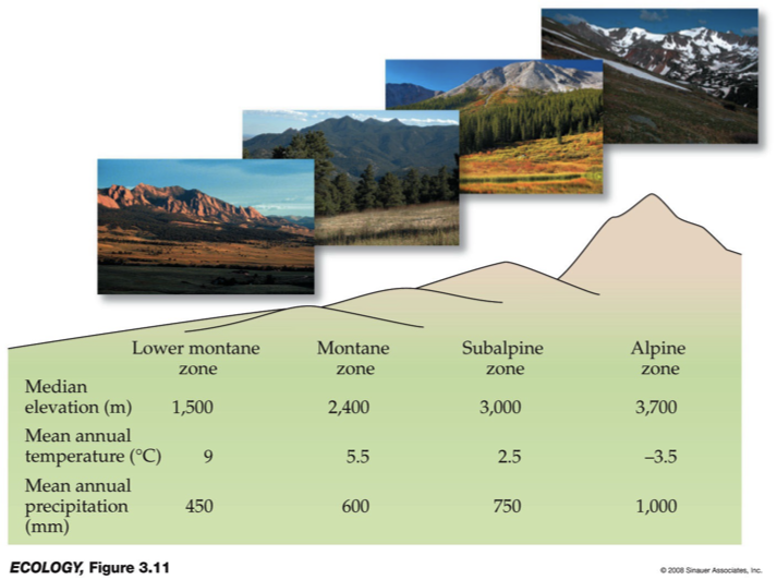 <p>Mountains (“islands in the sky”)</p><p>As you go up, you’ll go from grassland, to temperate forests, to boreal forest, to tundra.</p>
