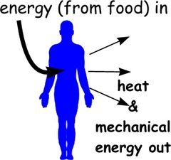 <p>Amount of energy needed to raise temperature 1 gram of water 1 degree C</p>