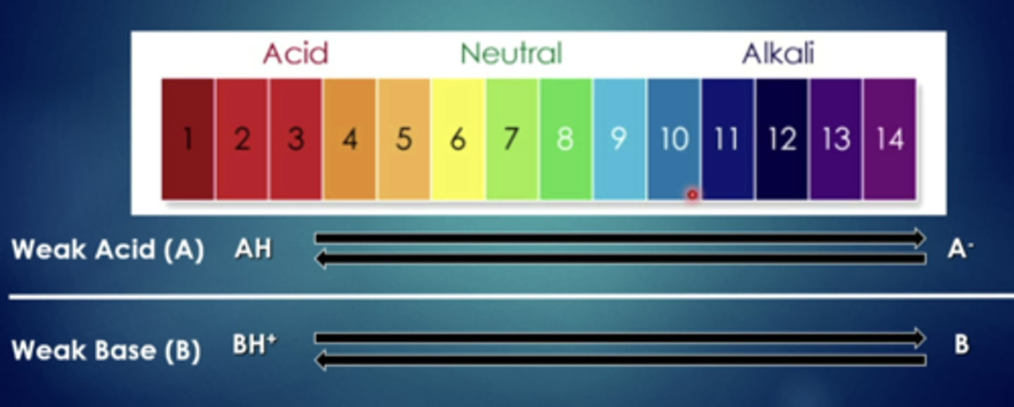 <p>weak acids have a harder time when they are in...</p>