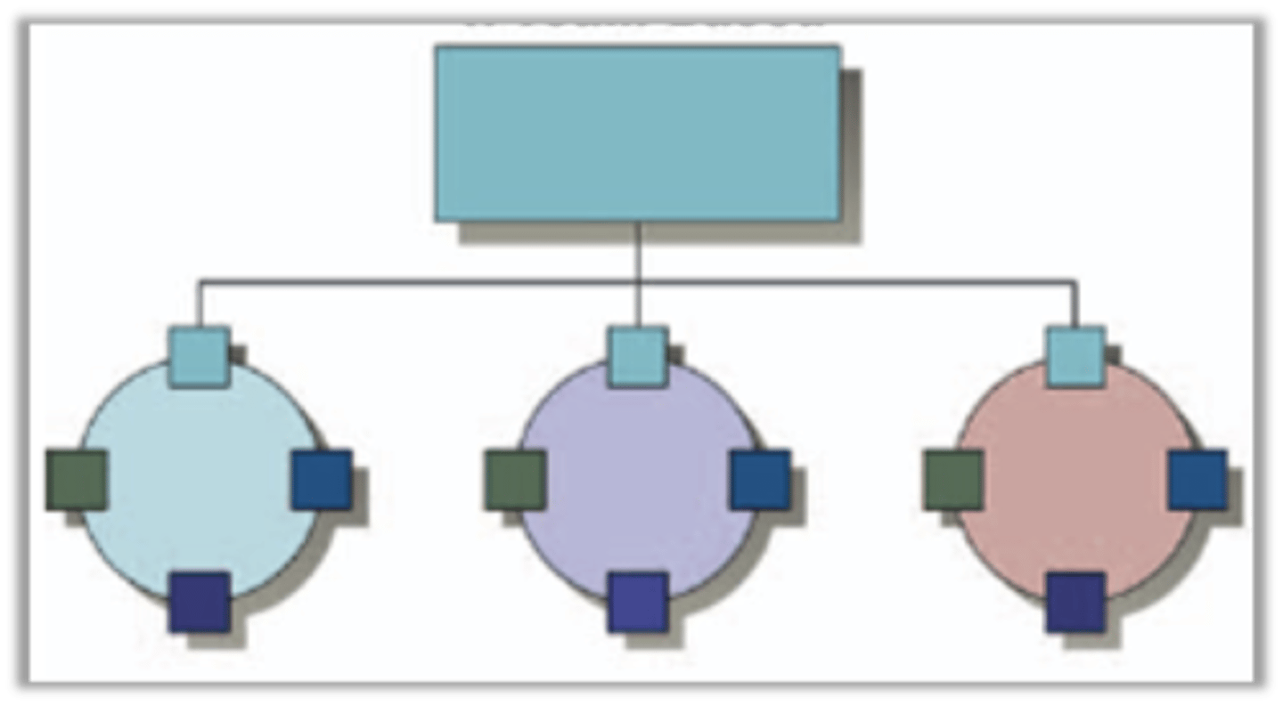 <p>consist of employees from various functional departments who are responsible to meet as a team and resolve mutual problems</p>