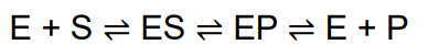 <p>where E, S, and P represent the enzyme, substrate, and product and ES and EP are transient complexes of the enzyme</p>
