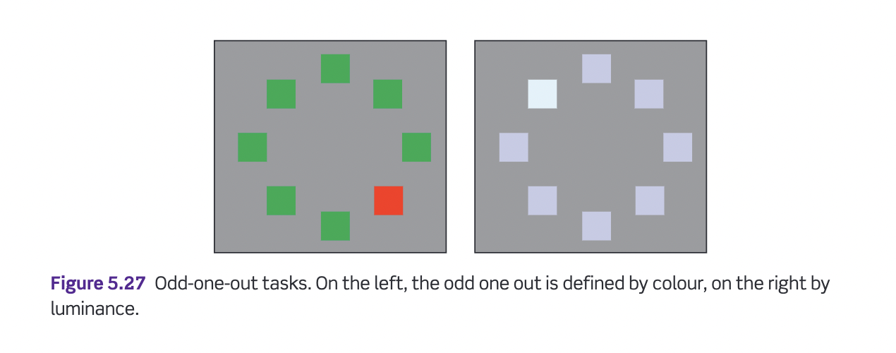 <p>How would someone with cerebral achromatopsia do in this task? </p>