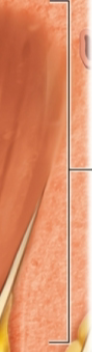 <p>what is this?</p>