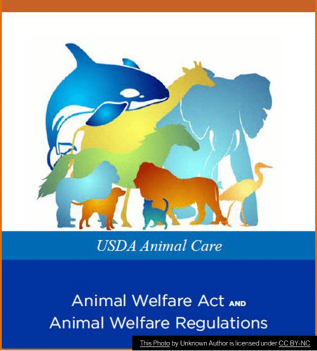<p>Legislation that governs the transportation, care, and use of animals in research.</p>