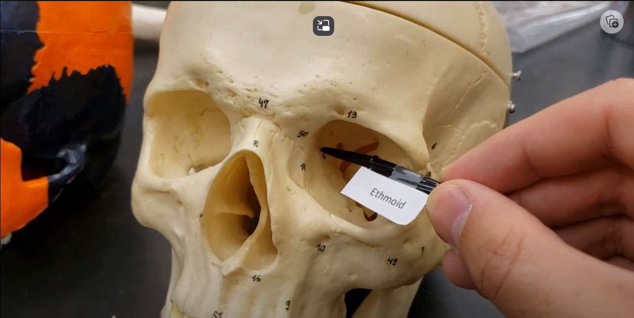 knowt flashcard image