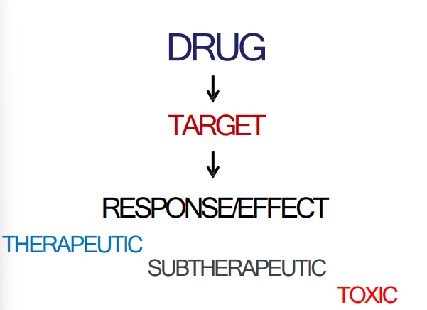 <ul><li><p><strong>What the drug does to the body </strong></p></li><li><p>Design a drug that will <strong>interact </strong>as <strong>powerfully </strong>and selectively as possible for the <strong>target</strong></p></li></ul><p></p>