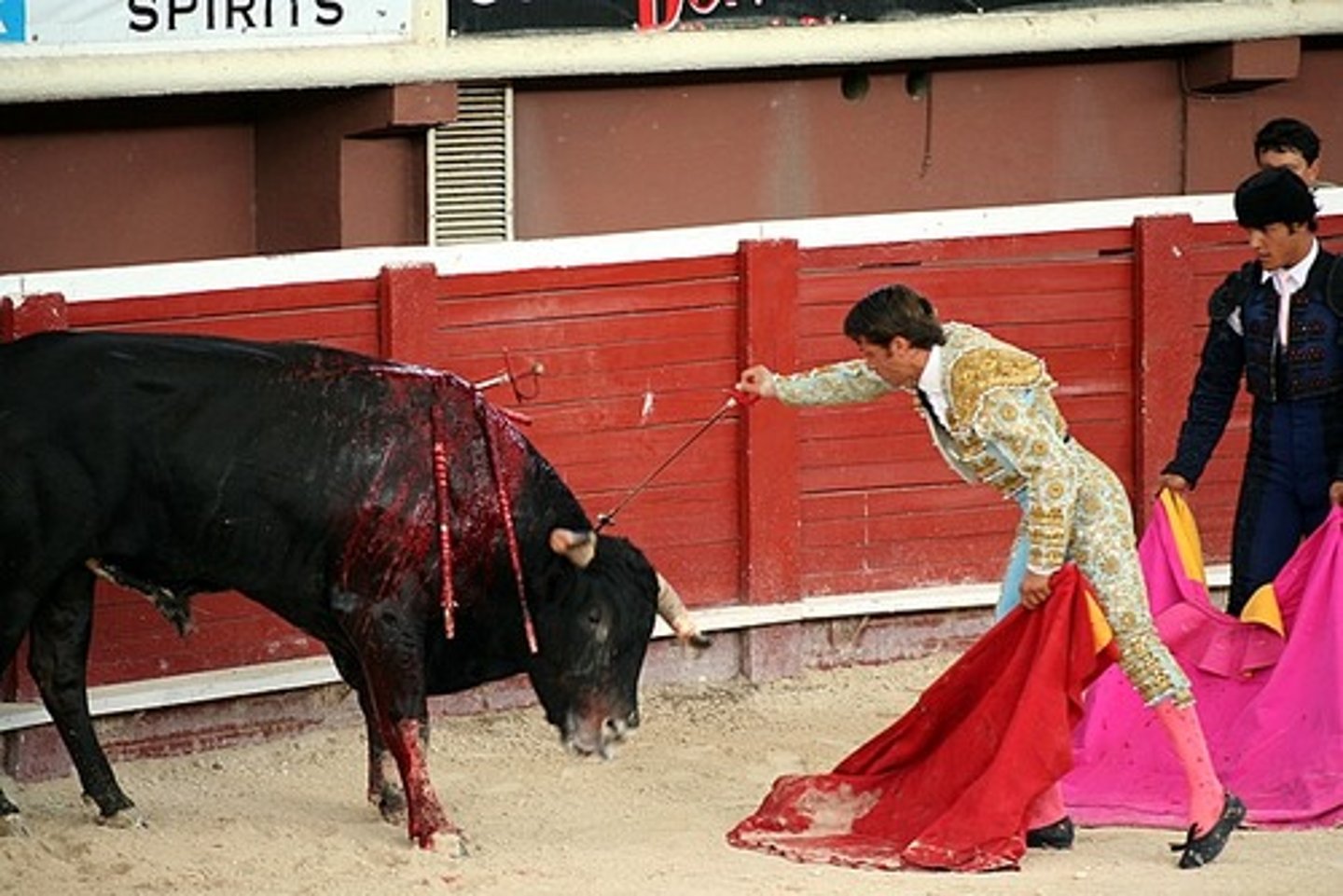 <p>bullfight</p>