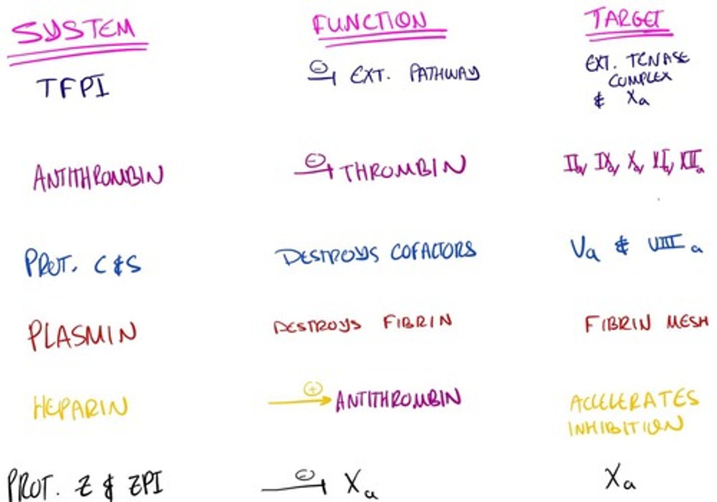 knowt flashcard image