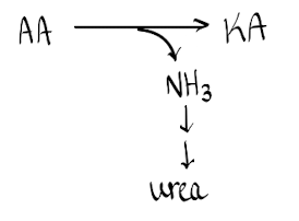 <p>Losing a N group</p>