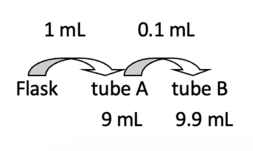<p>Compute for the dilution (D) and dilution factor (DF) of tubes A and B</p>