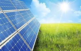 energy from the sun that is used by plants to produce their own food by the process of photosynthesis