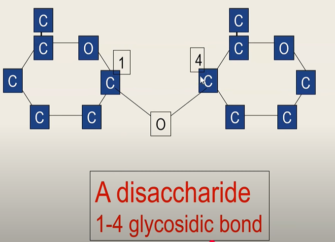 <p>A reaction that joins two molecules together</p><p>with the formation of a chemical bond</p><p>involves the elimination of a molecule of water </p>