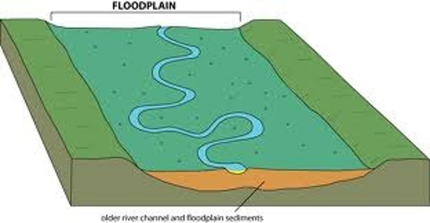 <p>the land on each side of a river that holds water when it floods (water gets to high)</p>