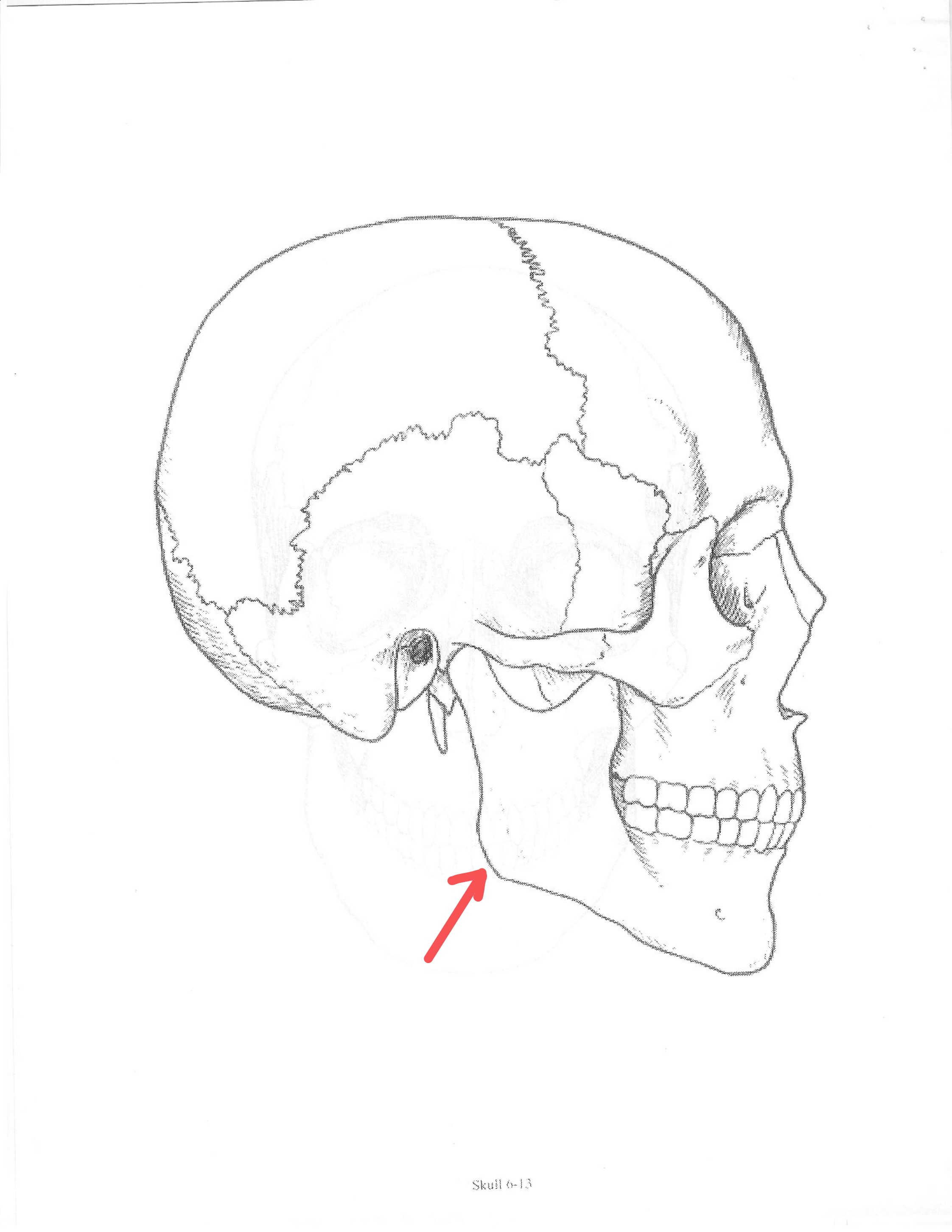 <p>ID feature</p>