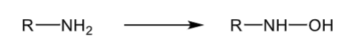<p>forms a hydroxylamine</p><p>can further oxidate to a nitroso group and then form an oxime</p>