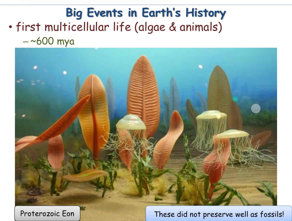 <p>Proterozoic Eon </p>