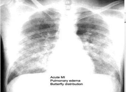 <p>what is this?</p>