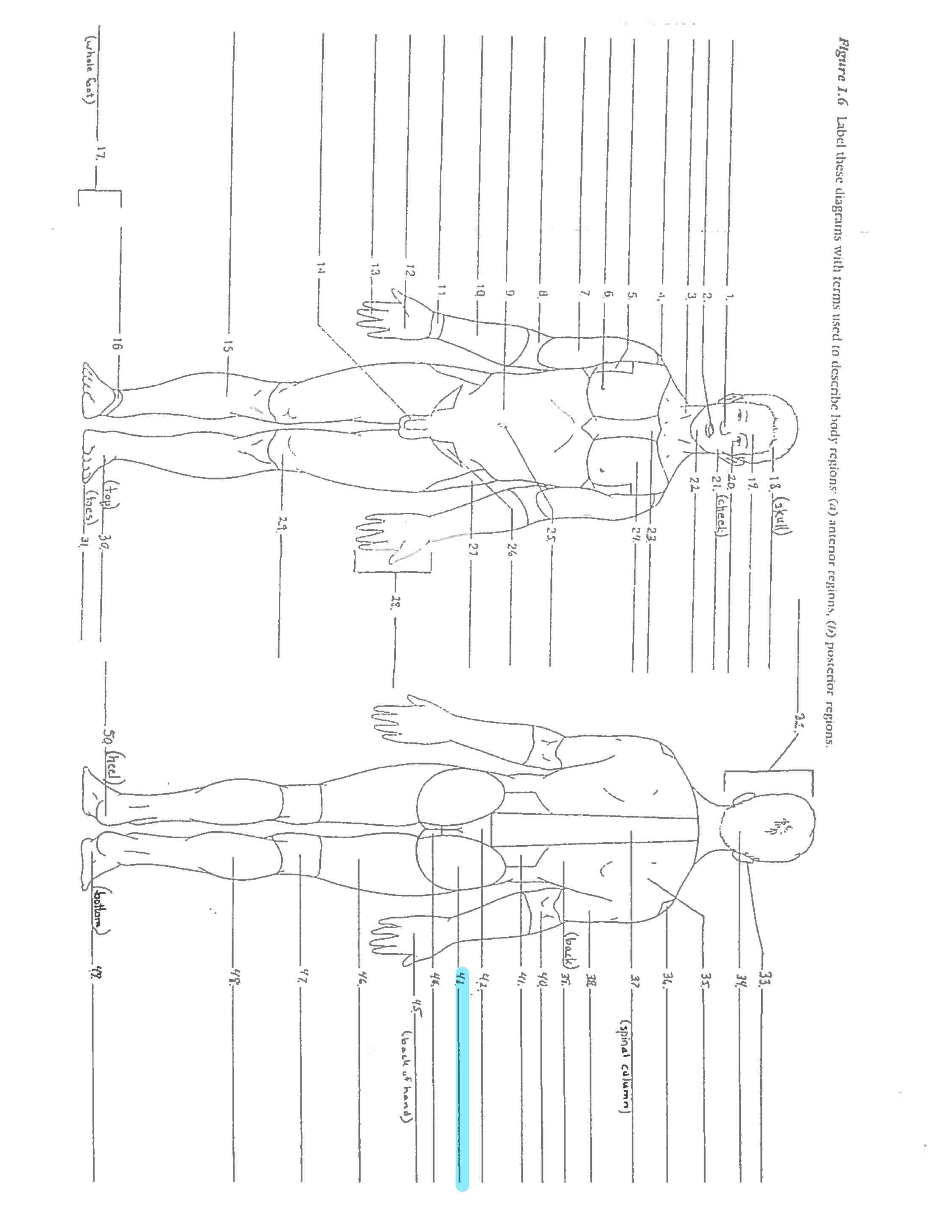 <p>Line 43 </p>