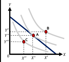 <p>identify what each bundle means in this graph.</p>