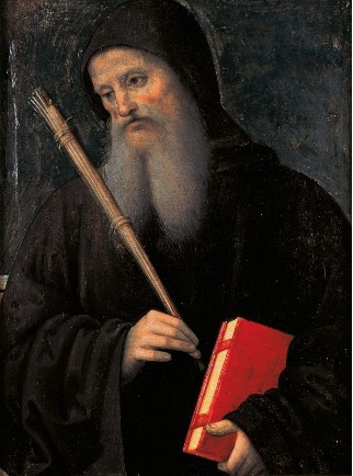 term image