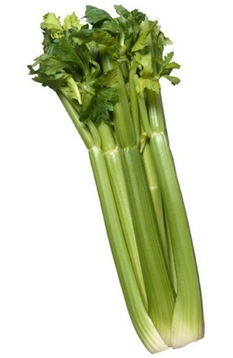 <p>celery</p>