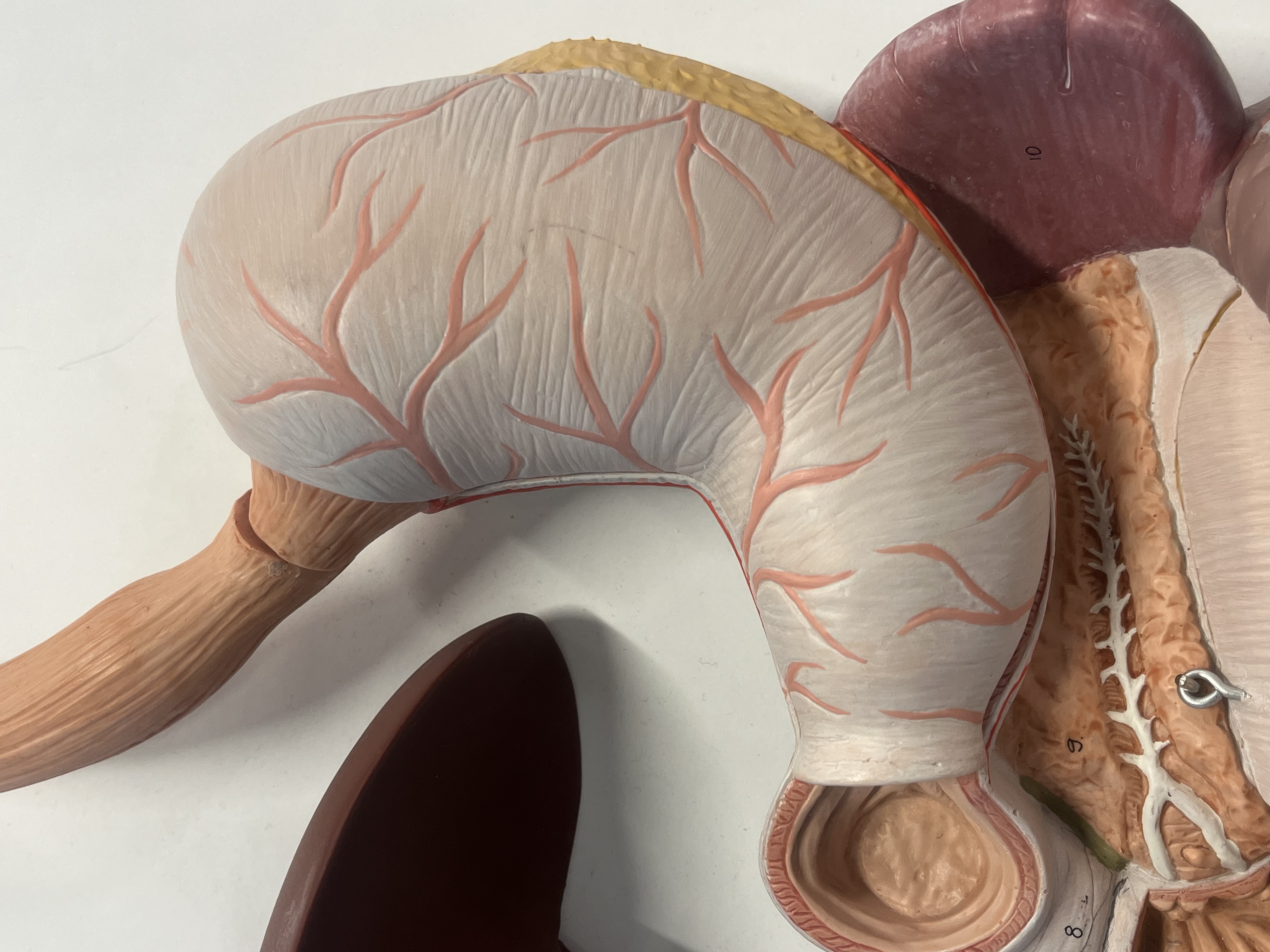 <p>what is this?</p>