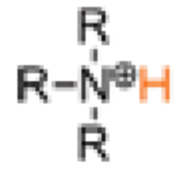 <p>Protonated Amines</p>