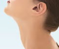 <p>neck</p>