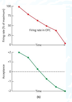 <p>This is the representation of reward in food.</p><p></p><p>Taste quality (Primary taste cortex) is still being used, but this has nothing to do with the acceptance of the food.</p><p></p><p>What does this mean? Is this the brain telling us to move on to find new nutrients?</p><p></p><p>Meal prepping. You lose the want to have something if you have it a lot. Don’t buy things in bulk? Mix up your dinner schedules?</p>