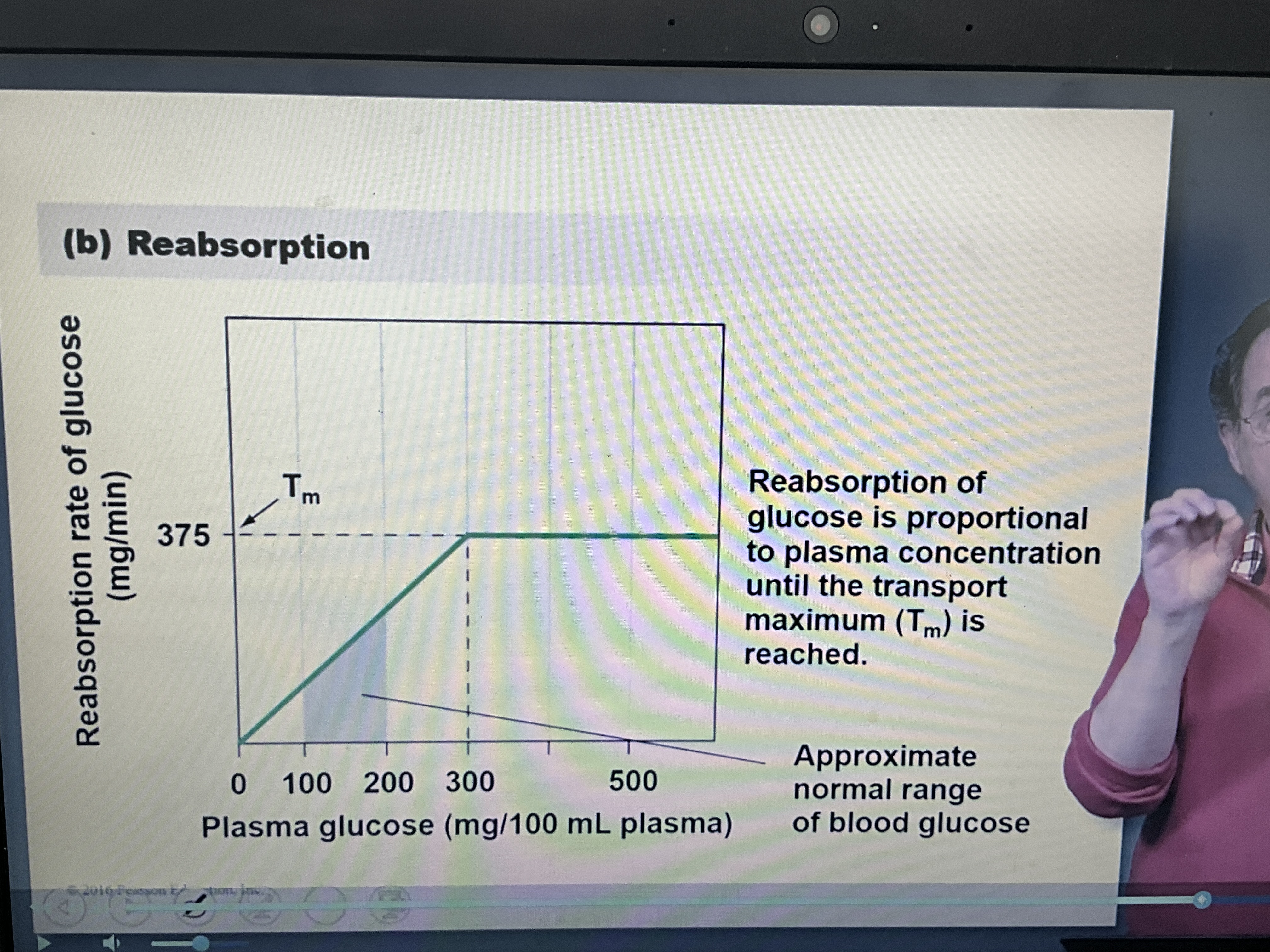 <ul><li><p>positive relationship until you reach maximum, then it plateaus</p></li></ul><p></p>