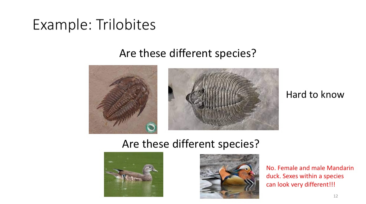 <p>Disadvantages of Biological Species Concept</p>