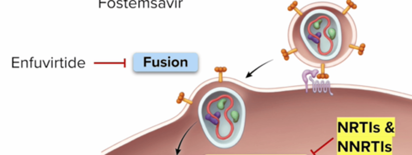<p>step: HIV viral envelope fuses with cell membrane</p><p>Fusion Inhibitors: Enfuvirtide (Fuzeon)</p>
