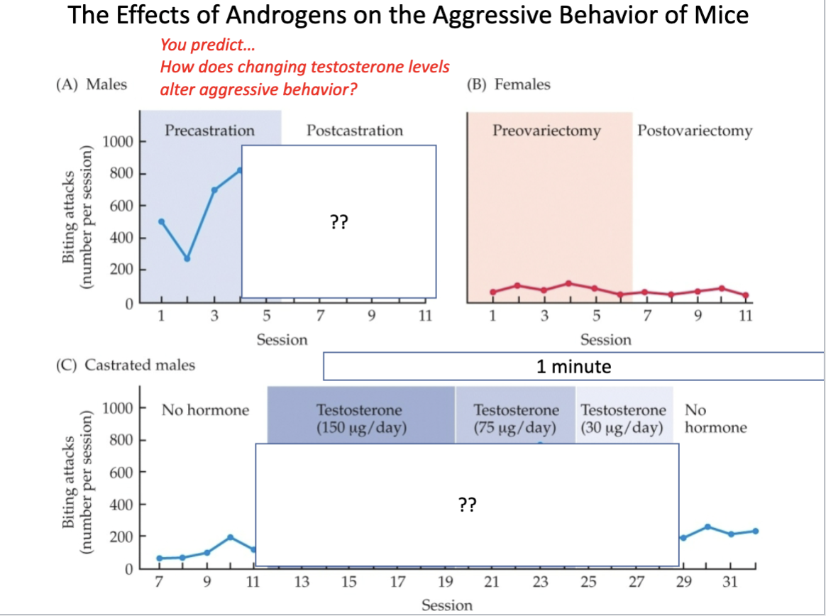 <p>How would aggression change based on testosterone levels?</p>