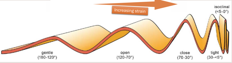 <ul><li><p>Determined by size of interlimb angle</p></li><li><p>Qualitative way of determing how much strain a folded layer has experienced (Arms out and being pushed inwards → the more strain on your arms the smaller the angle would be.)</p></li><li><p>Interlimb angle can measured with protractor or compass clino</p></li><li><p>Isoclinal folds: both limbs orientated parallel</p></li></ul><p></p>