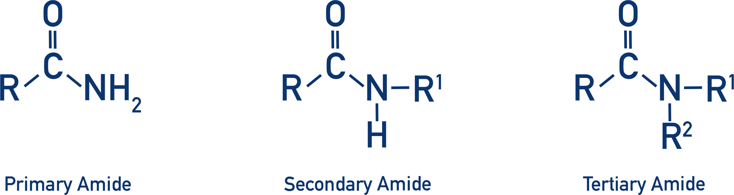 <p>an acyl group (R–C=O) linked to a nitrogen atom</p>