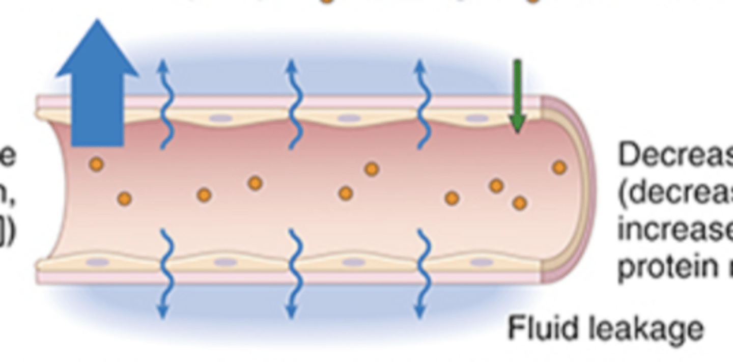 <p>disturbances of hydrostatic or colloid osmotic pressure</p>