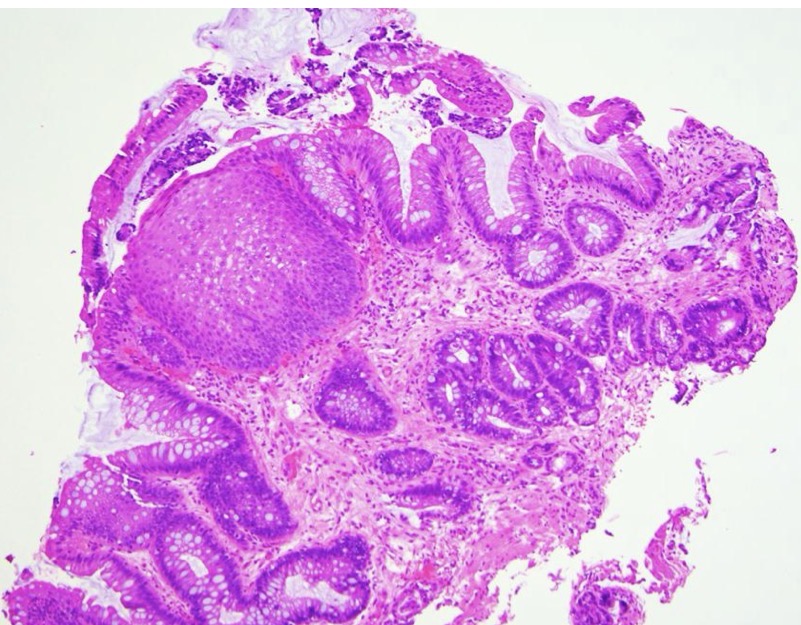 <p>A- identify </p><p>B- describe </p>