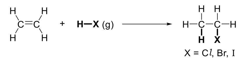 <p>Hydrohalogenation / Addition of Hydrogen Halides</p>