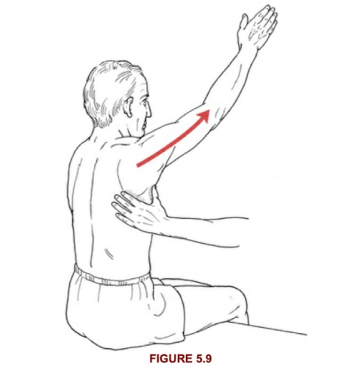 <p>Seated with arm flexed to 130, protracted in that plane as far as it can move</p>