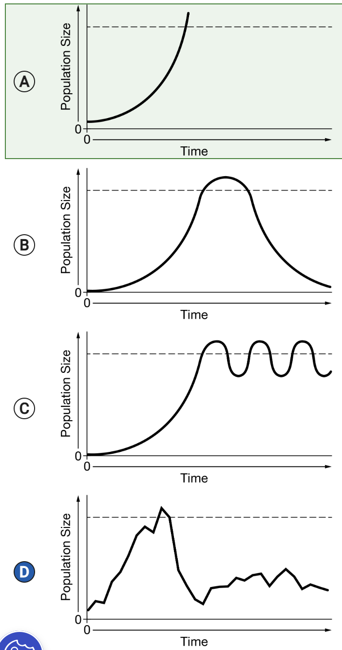 <p><span><span>Which of the following graphs best displays population size over time of an r-selected species that has just colonized a new habitat with abundant resources?</span></span></p>