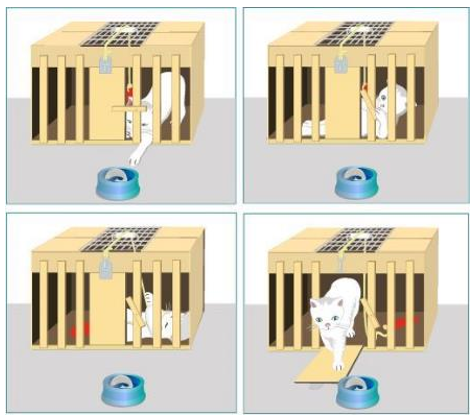 <p>Vertaalde associatieleer naar connectionisme</p><p>Onderzoek basis voor definiëren van vier connectie‘wetten’</p><ul><li><p><strong><u>‘law of effect’:</u></strong> wat volgt op een uitgelokt gedrag, heeft een effect op de mate waarin er een connectie ontstaat tussen de stimulus en de respons</p></li><li><p><strong><u>‘law of readiness’:</u></strong> wanneer lerenden klaar zijn om iets nieuws te verwerven, dan zullen ze gemakkelijker nieuwe inhouden oppikken</p></li><li><p><strong><u>‘law of exercise’: </u></strong>hoe meer de relatie tussen stimulus en response wordt <strong><u>herhaald</u></strong>(link met Herbart), hoe sterker de relatie wordt</p></li><li><p><strong><u>‘associative shifting’</u></strong>: reacties op een stimulus kunnen, indien voldoende herhaald, ook volgen op andere stimuli, wanneer deze in kleine mate van oorspronkelijke stimuli verschillen</p></li><li><p></p></li></ul><p></p>