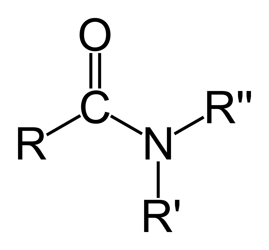 3/14

Suffix: -amide
Prefix: amide
