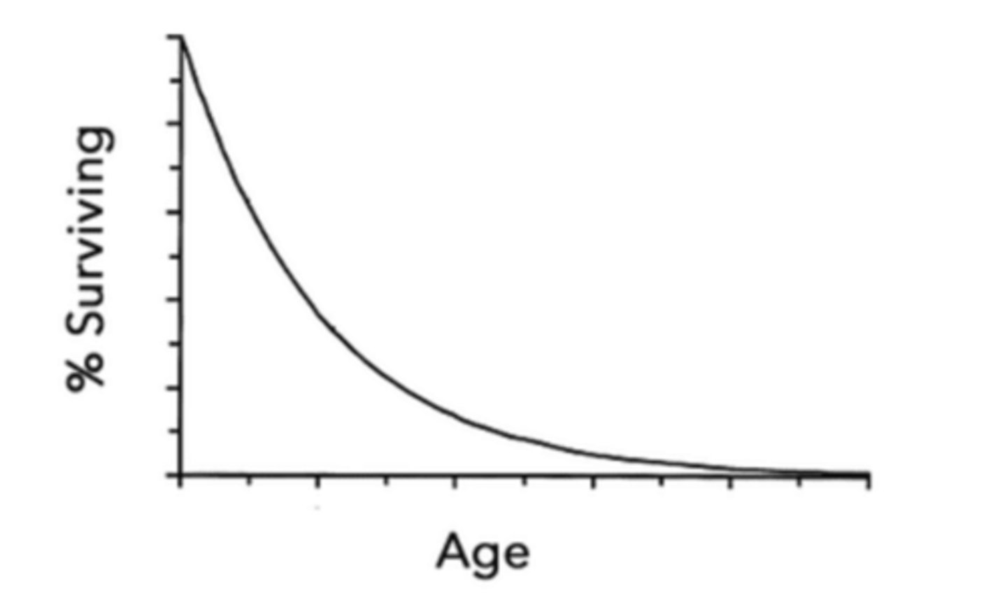 <p>survival undergoes exponential decay with respect to age</p>