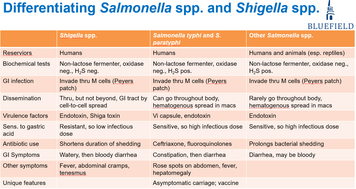 <p>Differences between <strong>Salmonella (non-typhoidal vs typhoidal)</strong> versus <strong>Shigella?</strong></p>