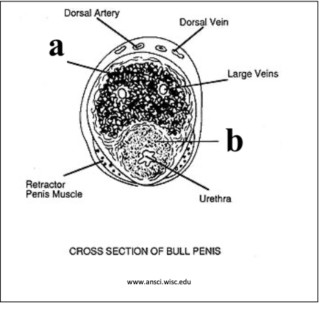 <p>b</p>