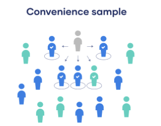 <p>Non-Probability: <strong>Convenience</strong></p>