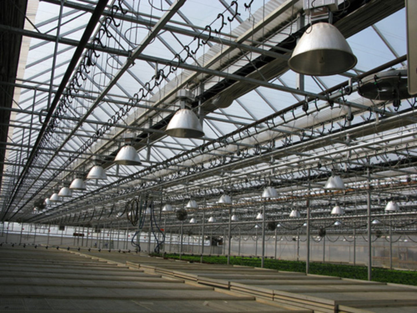 <p><strong>poor colour rendering</strong></p><p>ballast delay in starting = only start when bulbs hit a certain cool temp</p><p>may contain Hg?</p>